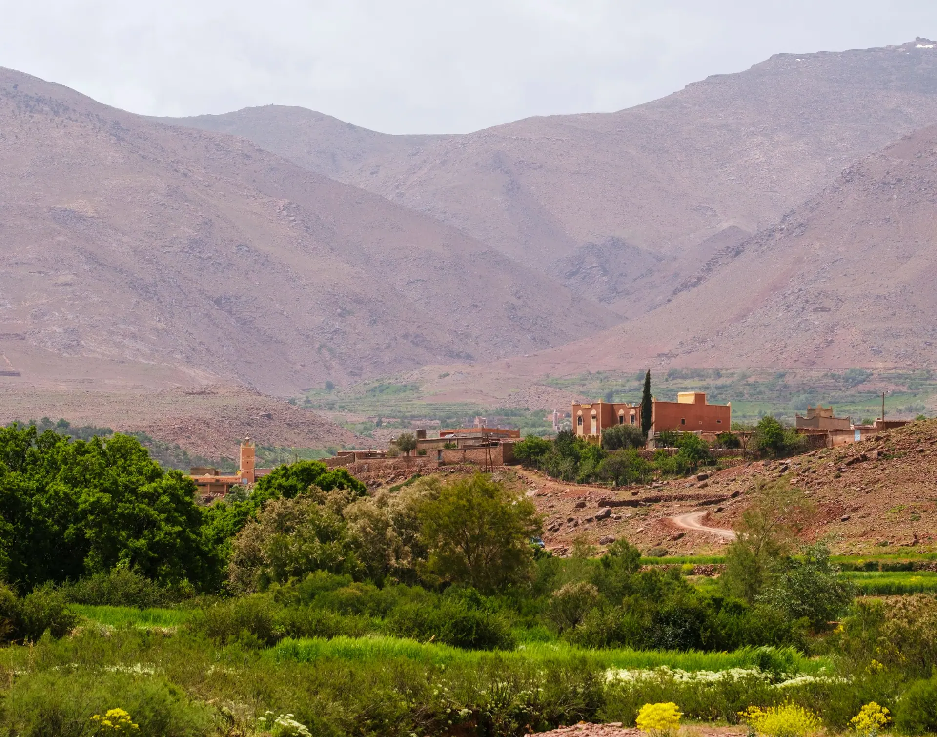Explore the vibrant greens and rugged terrain of Morocco's Atlas Mountains.