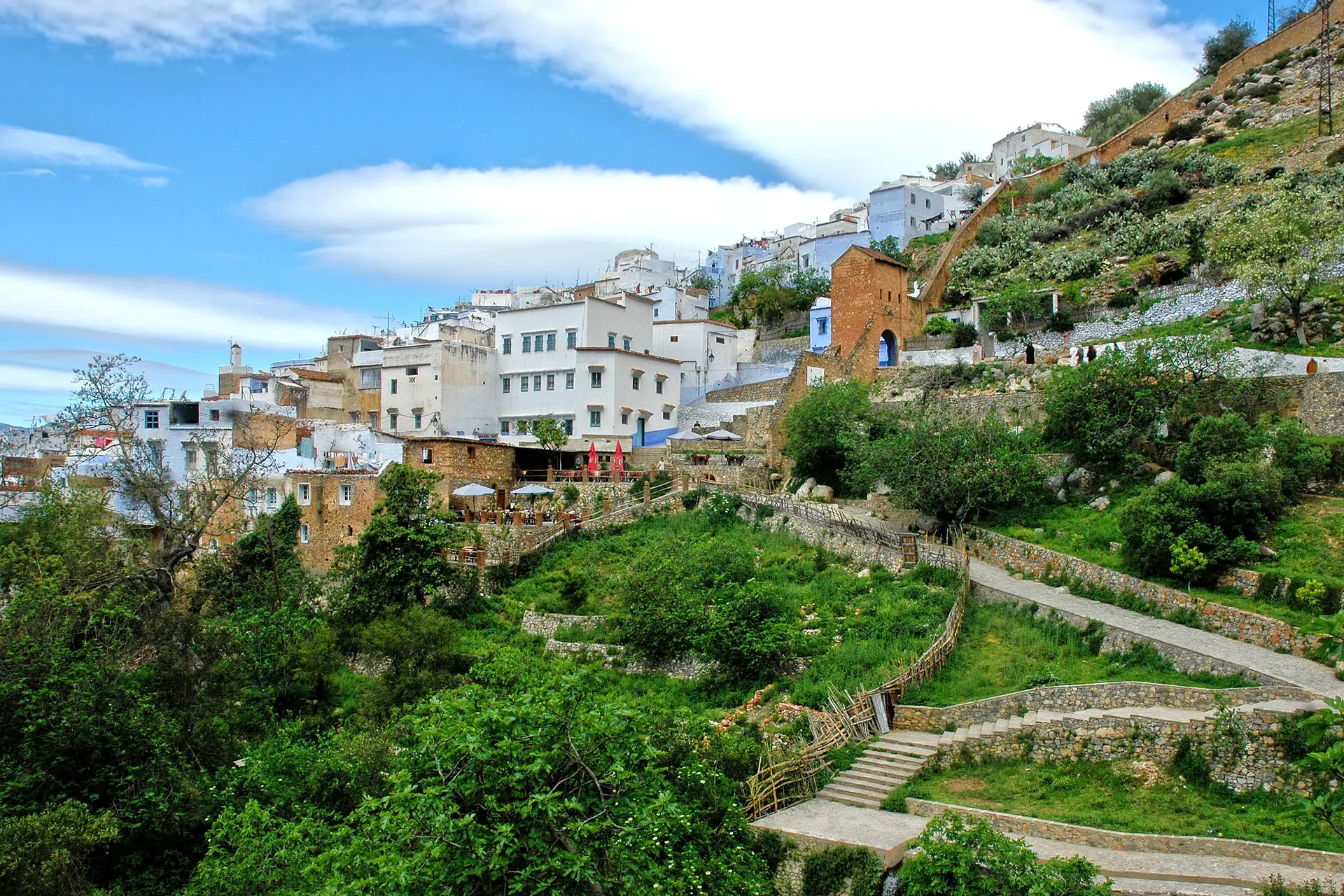 Captivating hillside view of Chefchaouen's unique architecture amid lush greenery and blue skies.