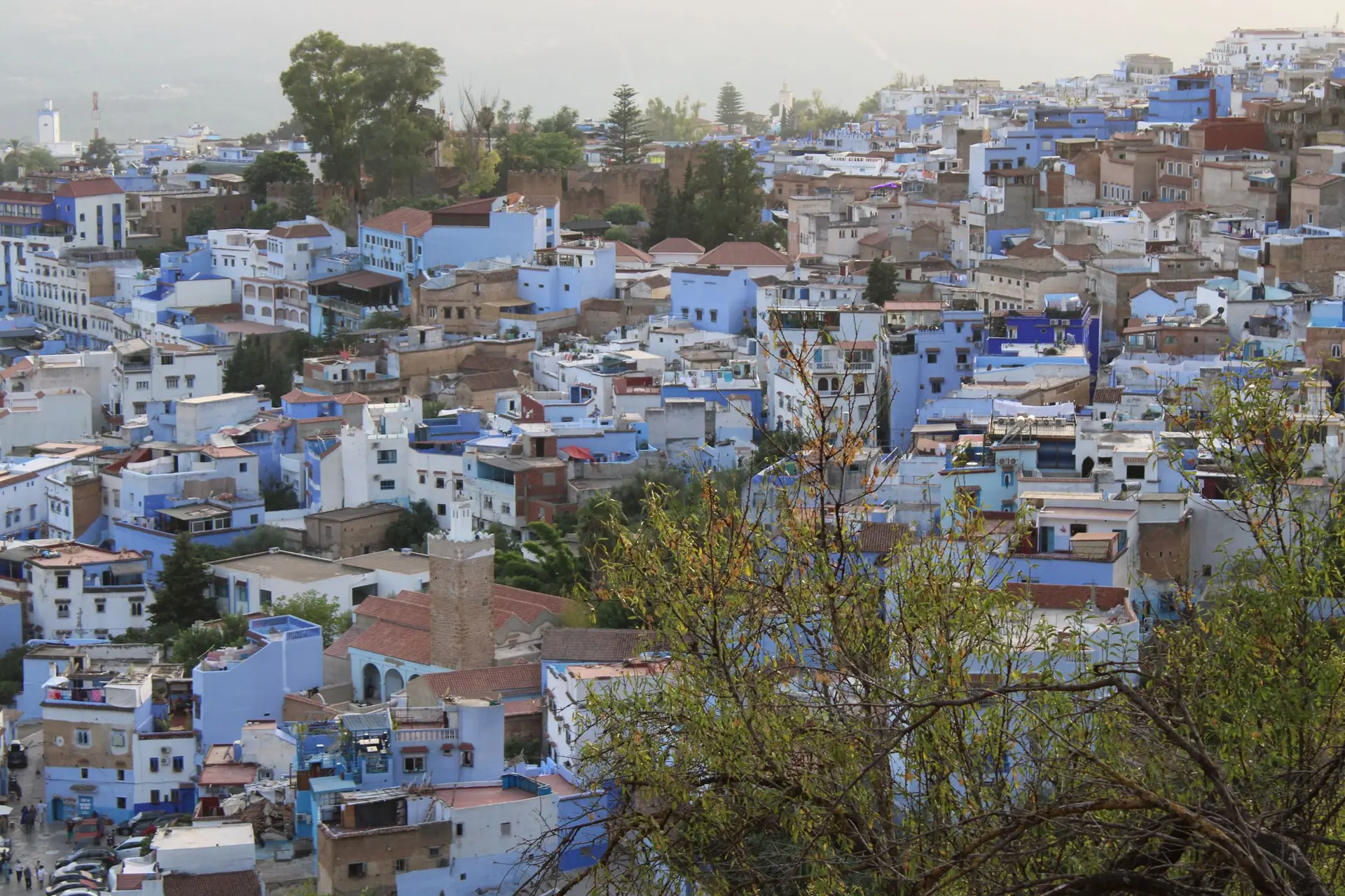 Stunning aerial view of Chefchaouen's iconic blue buildings nestled in Morocco's Rif Mountains.