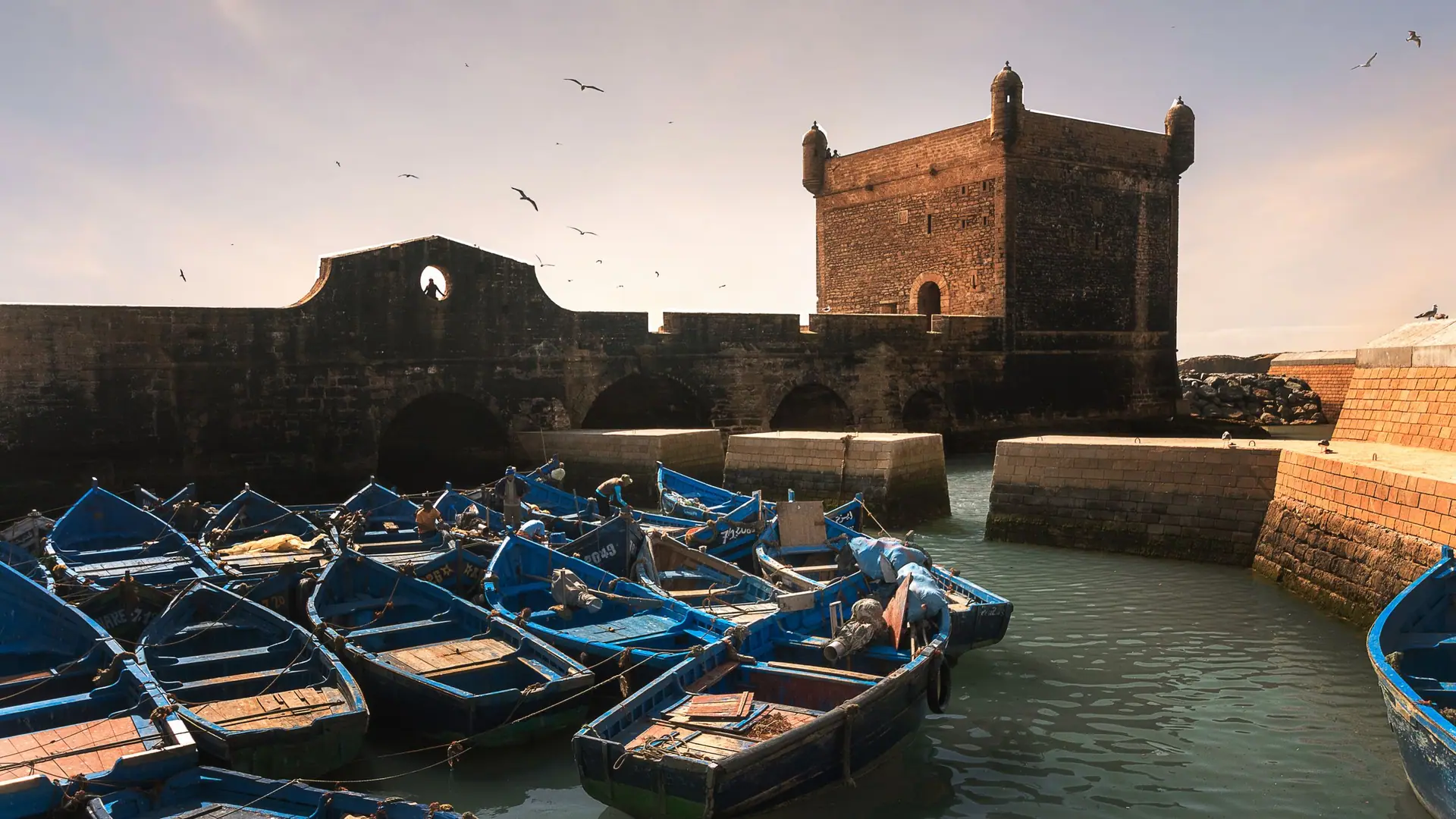 Blue boats moored in Essaouira port under a historic fort, Morocco.