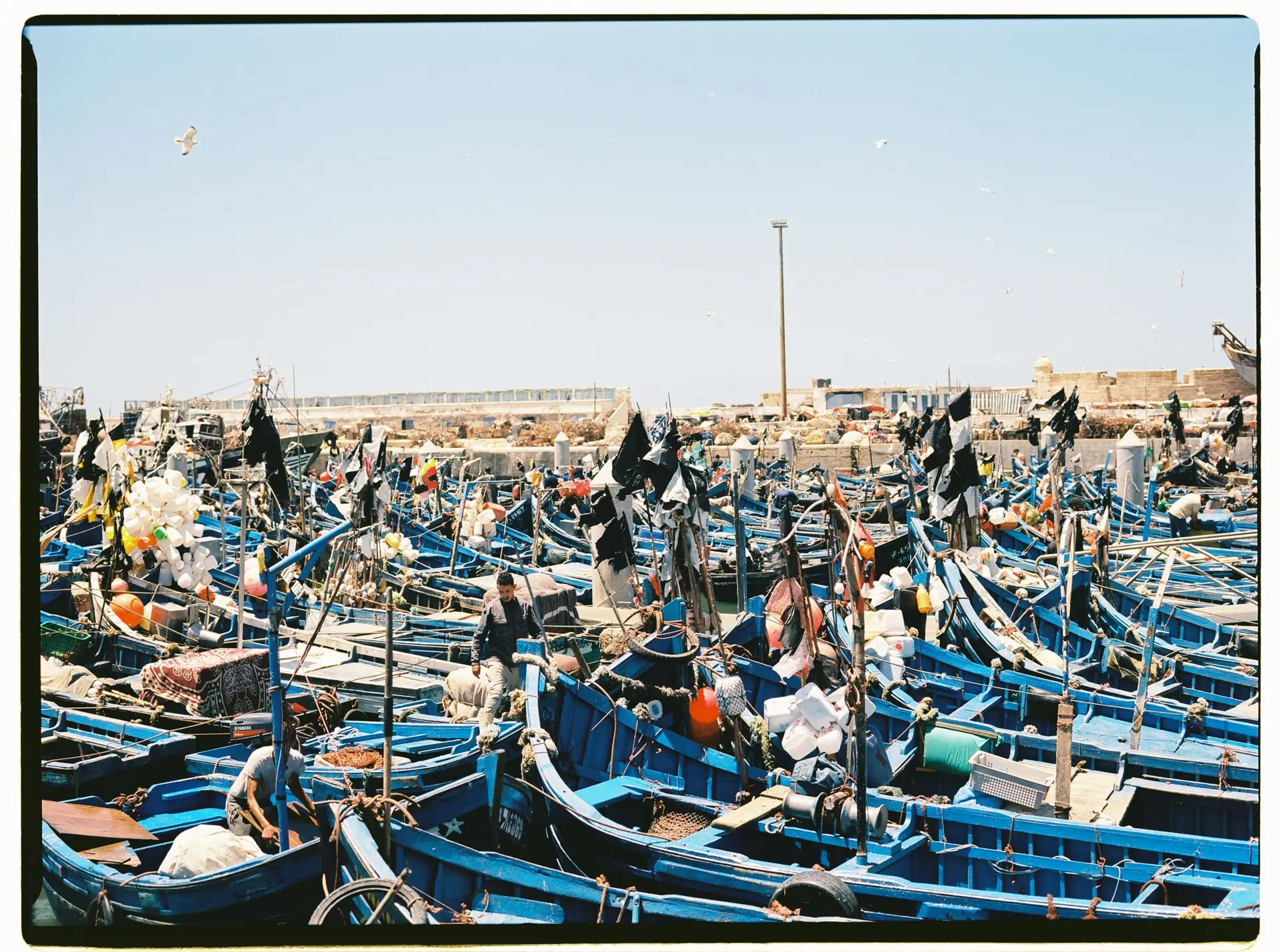 Colorful fishing boats densely packed in the historic harbor of Essaouira, Morocco.