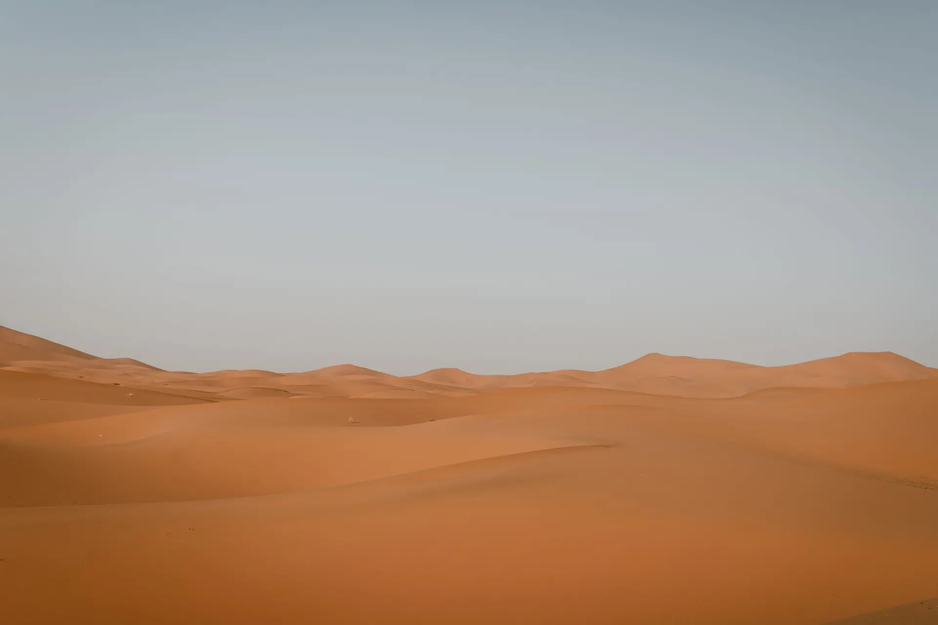Explore the expansive sand dunes of Merzouga's Sahara Desert under a clear sky.