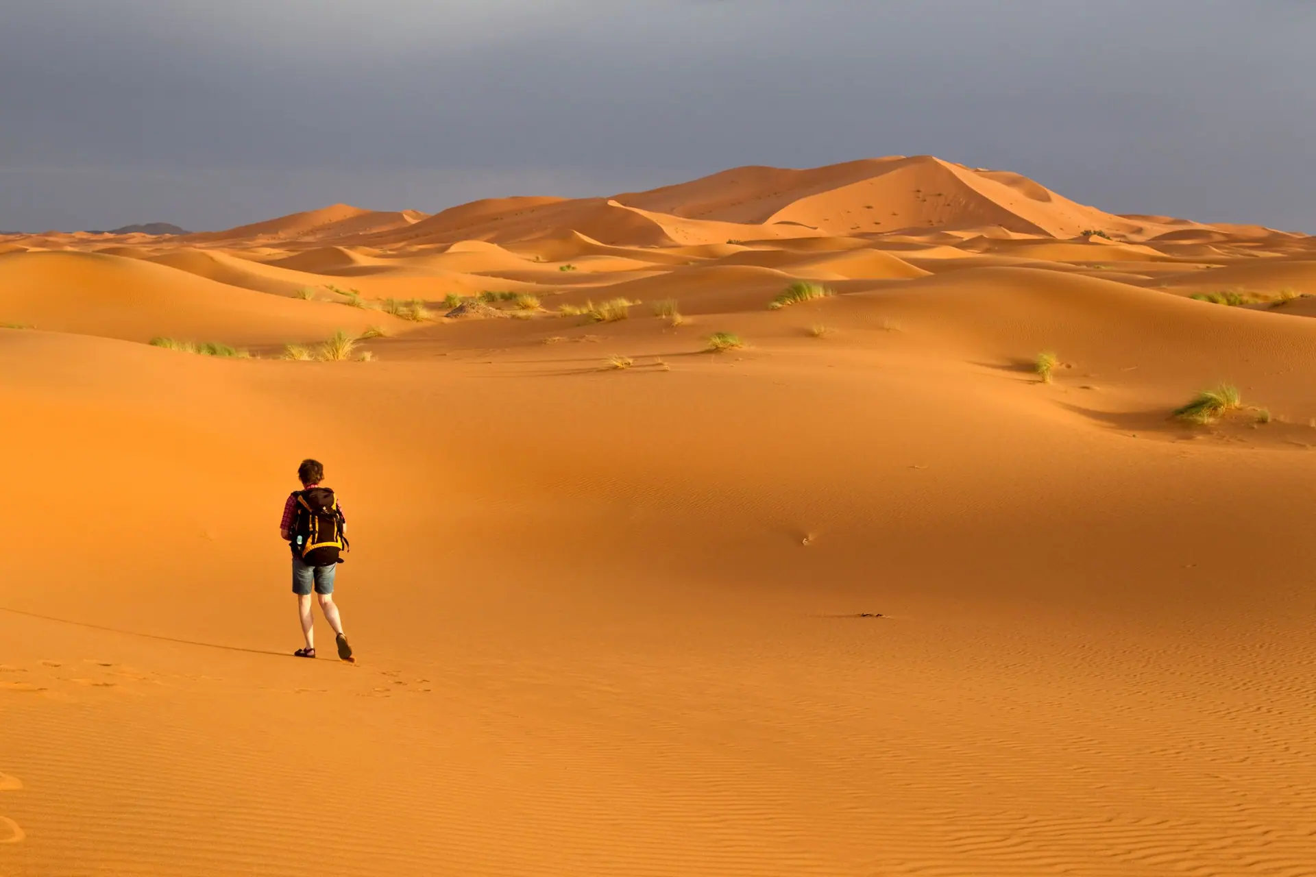 A lone traveler hiking through the vast golden sand dunes of the Sahara Desert under a dramatic sky.